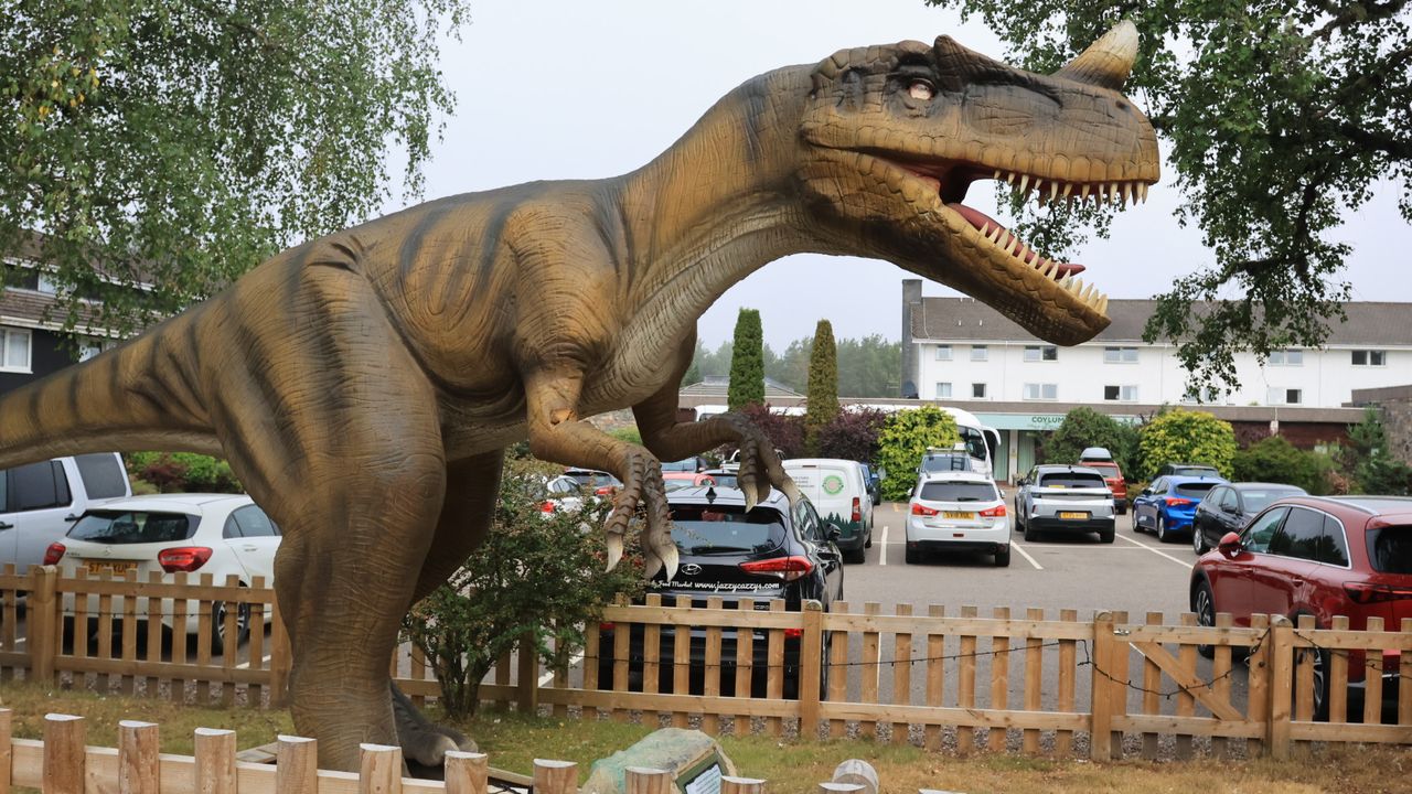 Glenmore Caravan and Camping Site