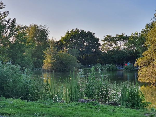 Goodiford Mill Fishery and Leisure Park