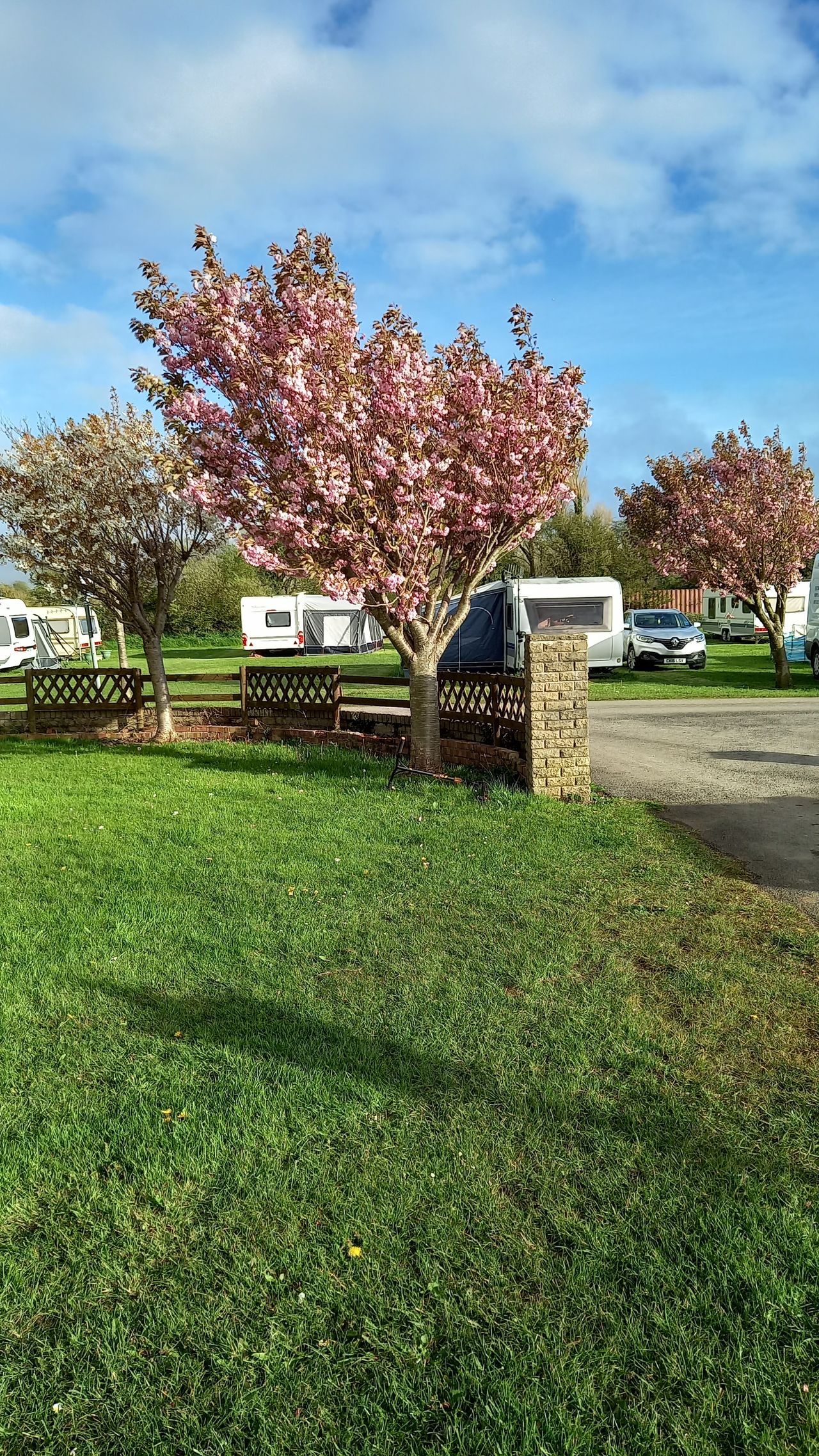 Gower Farm Touring and Camping Park