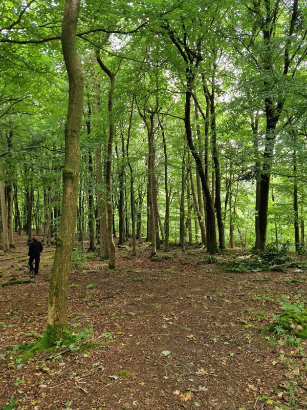 Grass Wood Lane Site