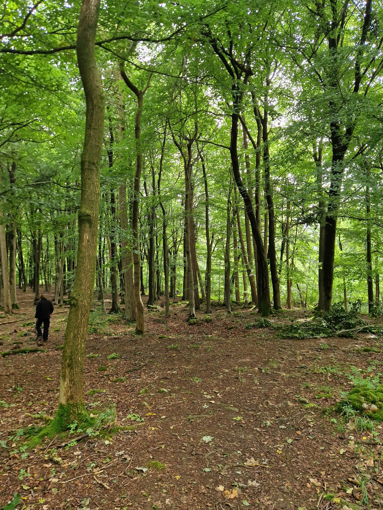 Grass Wood Lane Site