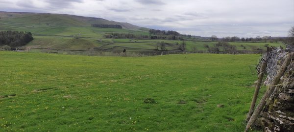 Grassington Campsite