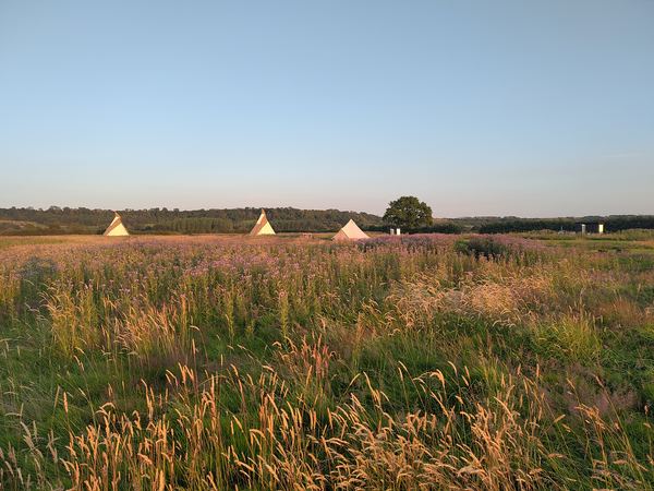 Great Cotmarsh Farm