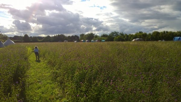 Greenhillock Camping and Glamping