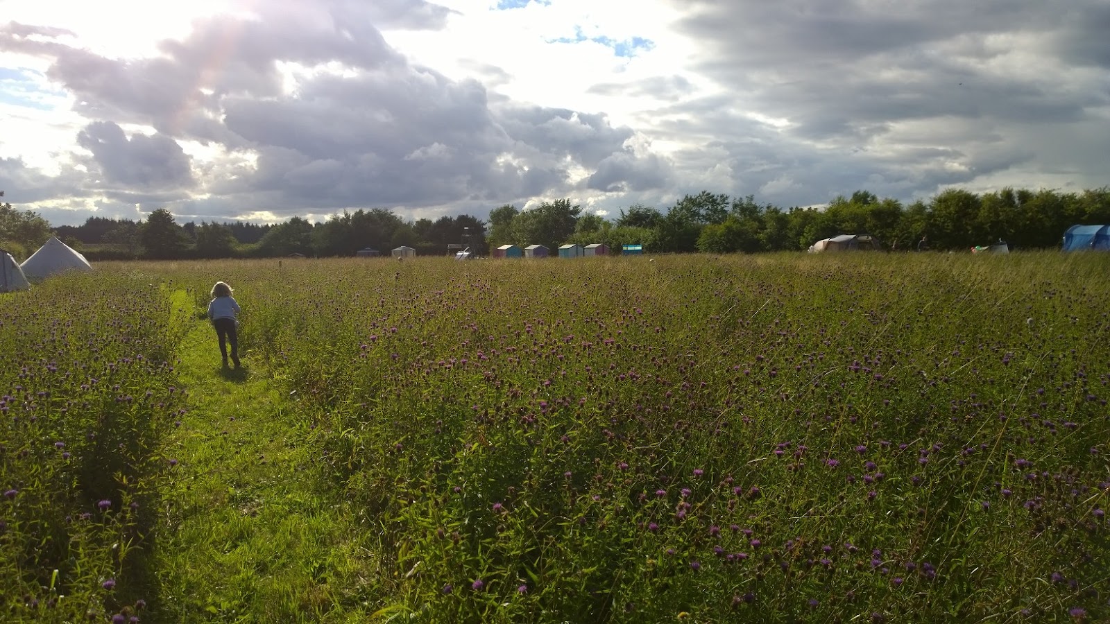 Greenhillock Camping and Glamping