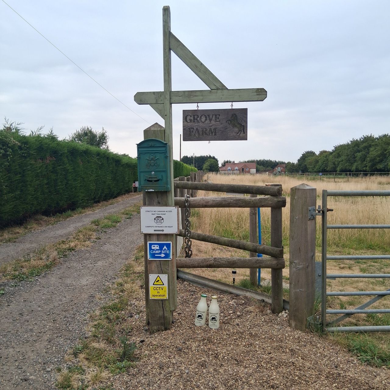 Grove Farm Camping