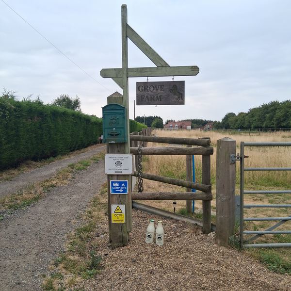 Grove Farm Camping