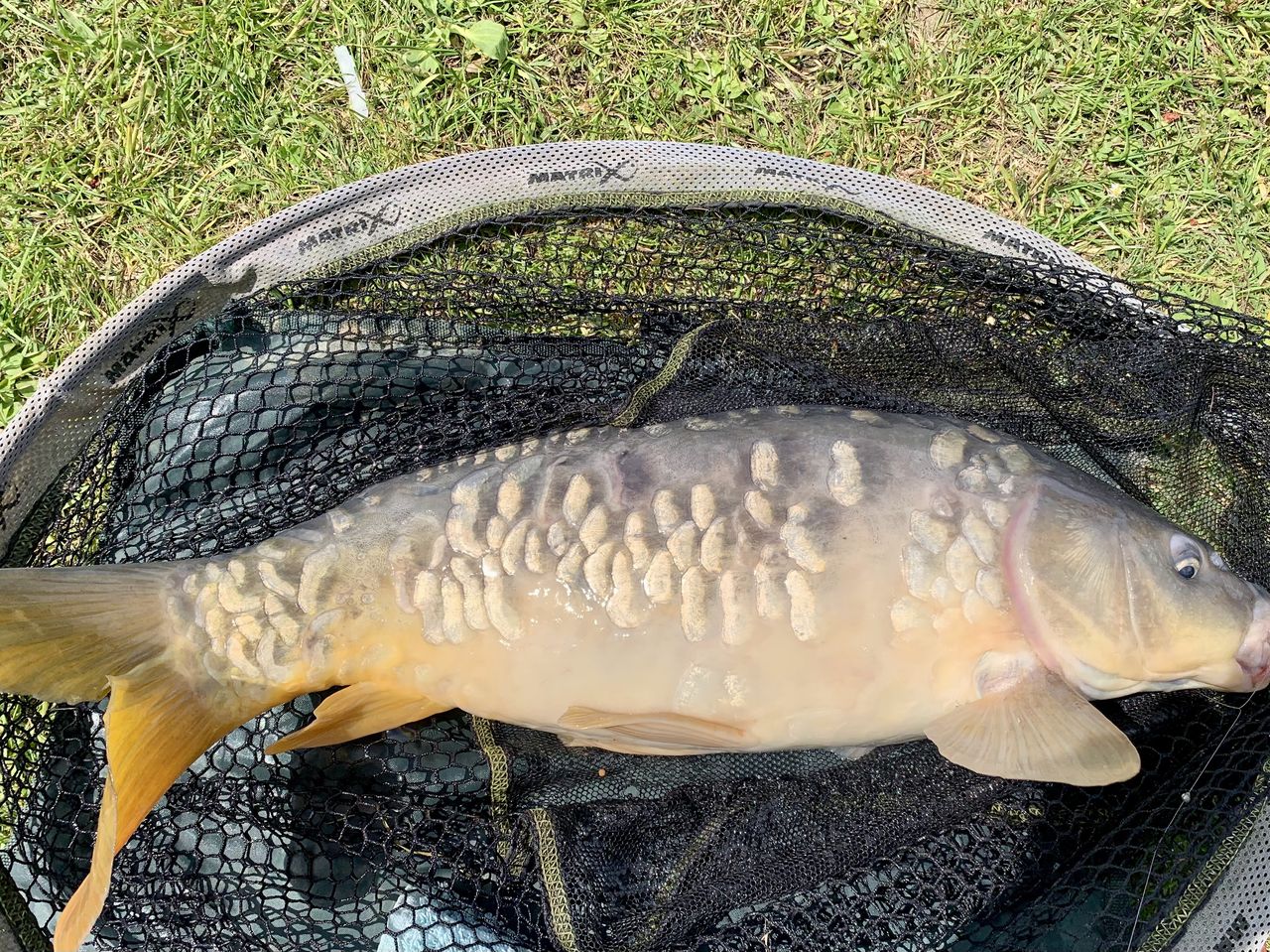 Gwinear Camping and Fishing