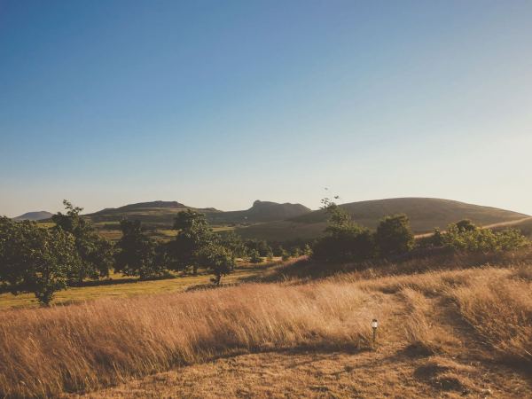 Gwynus Caravan Park and Camping