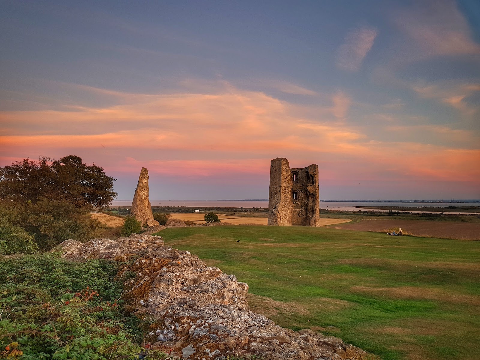 Hadleigh Park