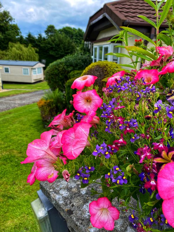 Hafod Brynog Caravan and Camping Park