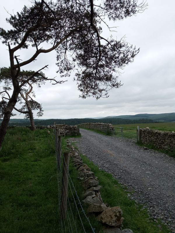 Hafod Hall Camping Club
