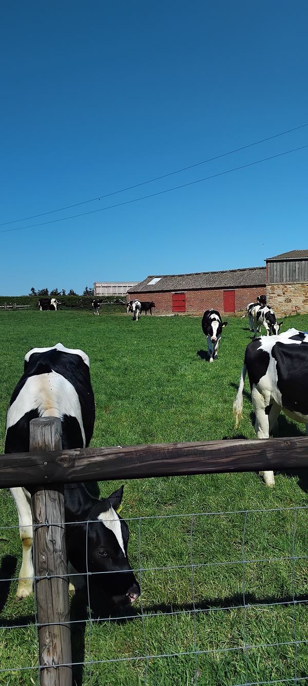 Halton Farm