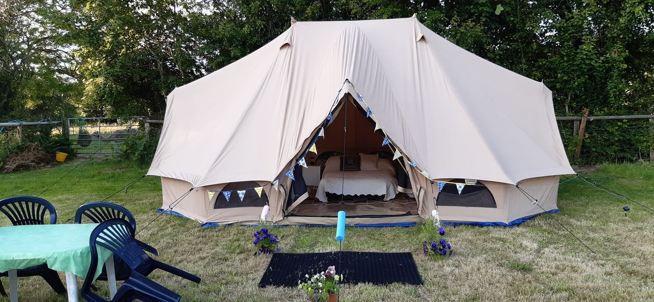 Harrow Hill Glamping with Alpacas