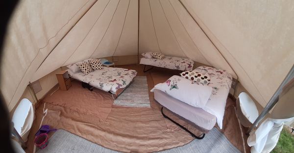Harrow Hill Glamping with Alpacas