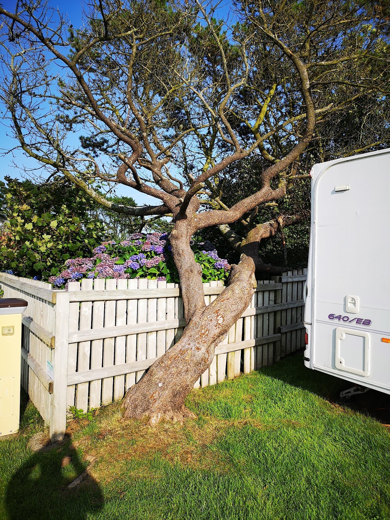 Hasguard Cross Caravan Park