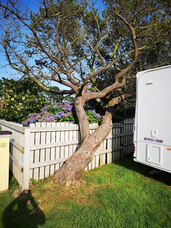 Hasguard Cross Caravan Park