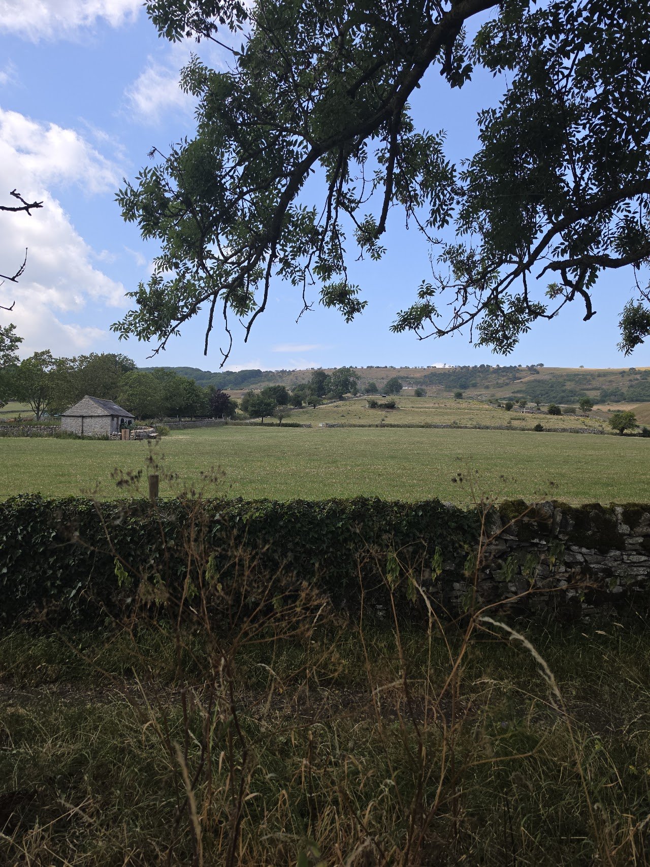 Hay Lane Farm Campsite