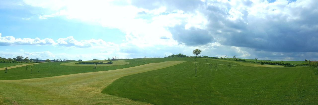 Haywood Oaks