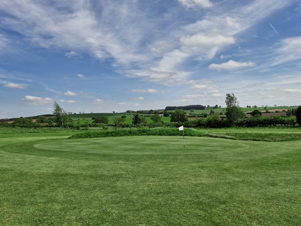 Haywood Oaks