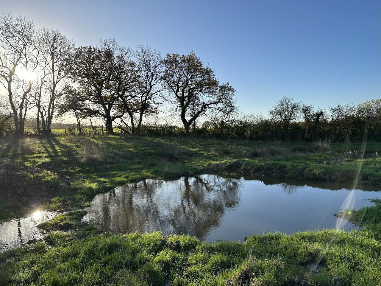 Heal Somerset