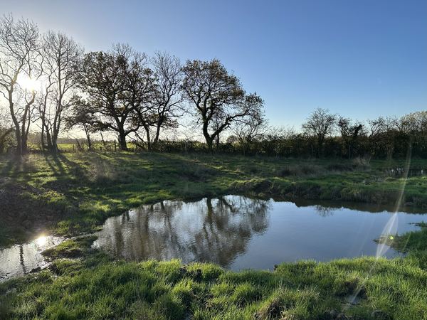 Heal Somerset