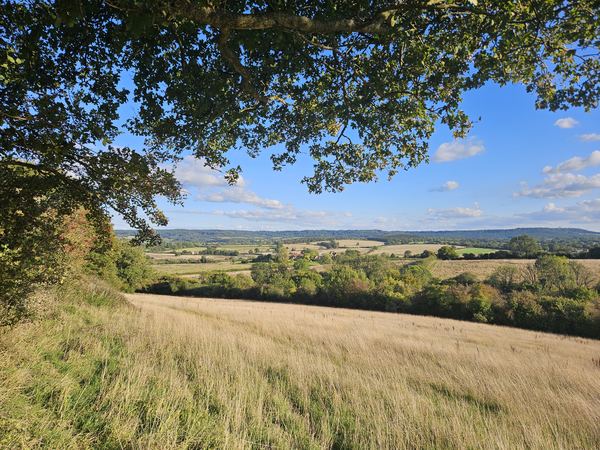 Heal Somerset