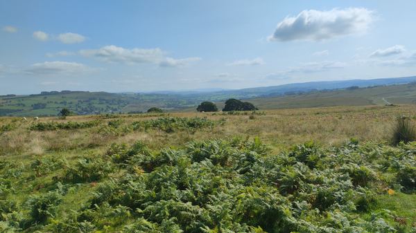 Helton Campsite