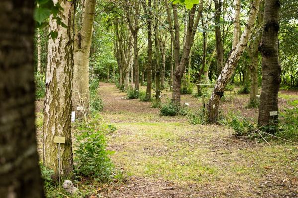 Heritage Wood Certificated Location
