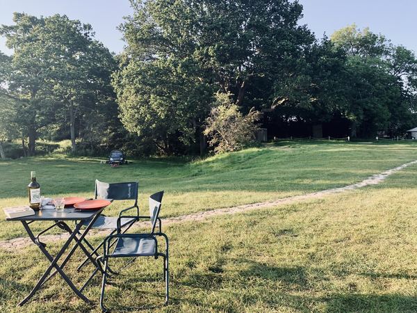 Heronsdale Manor Farm Campsite