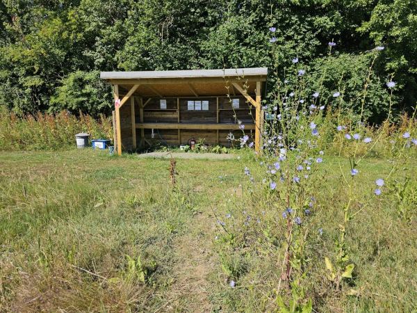 High Furlong Campsite