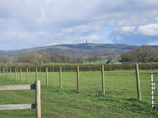 High Lane Farm