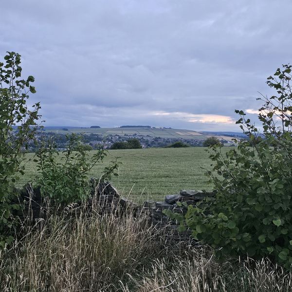 High Lea Farm Camping