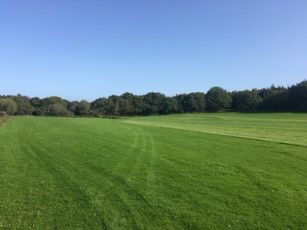 High Moor Farm Park