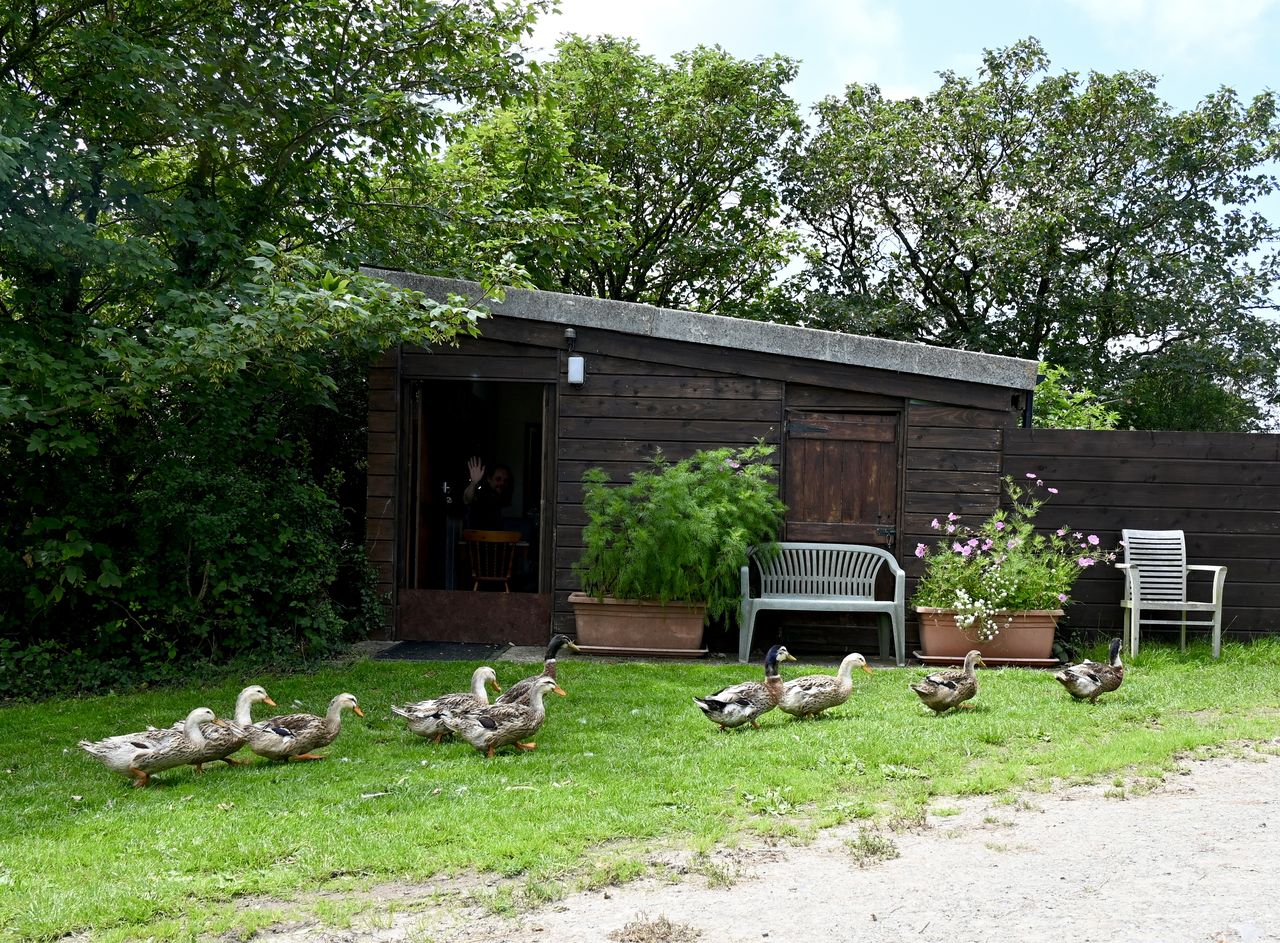 Higher Cheristow Farm Camping