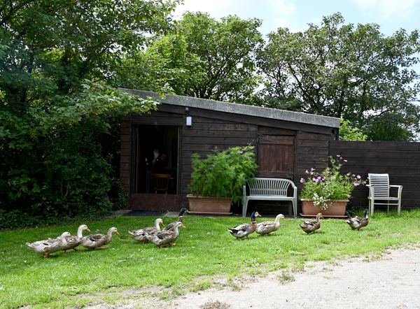 Higher Cheristow Farm Camping