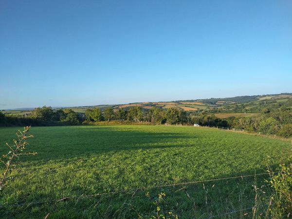 Higher Loveham Farm