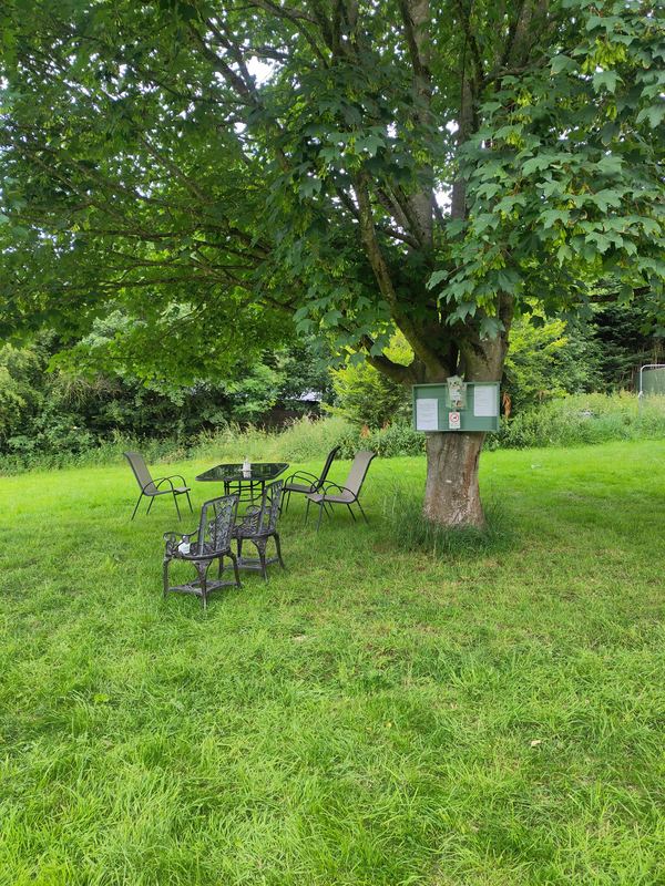 Hill Wood View
