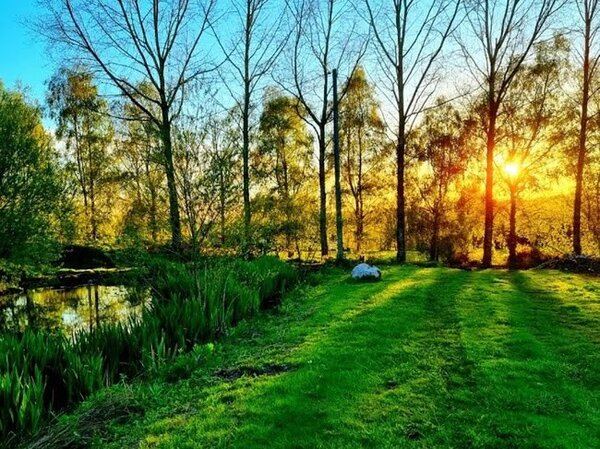 Hilly Springs
