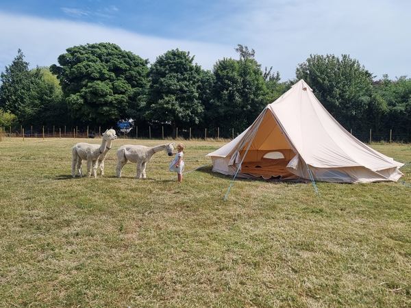 Hoad Meadow Camping