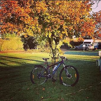 Holly Bush Park
