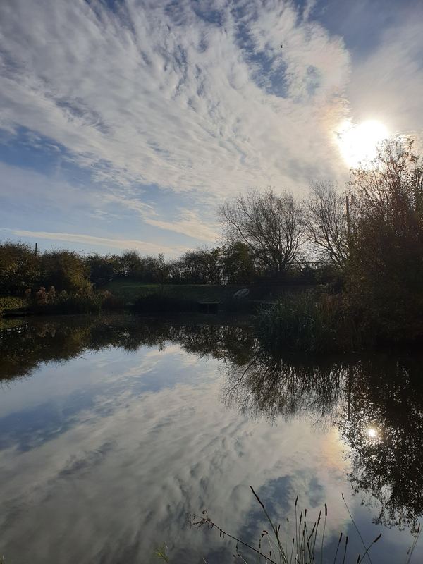Holly Tree Caravan Park and Pub