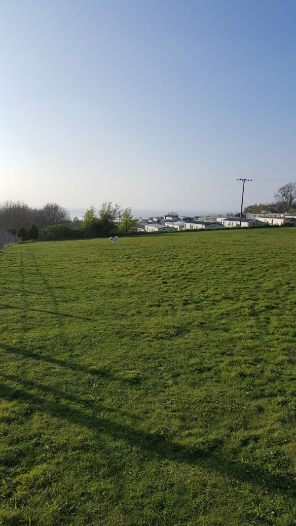 Hollybush Farm