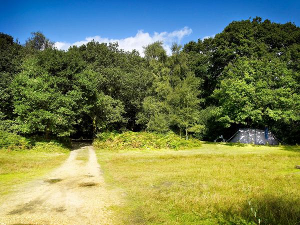 Holmsley Caravan and Camping Site