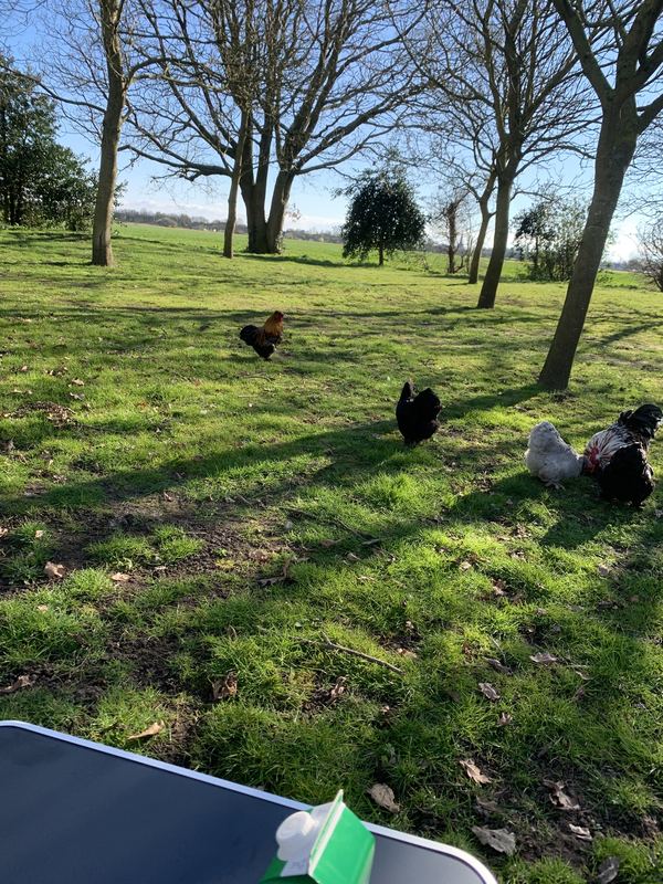Home Farm Camping