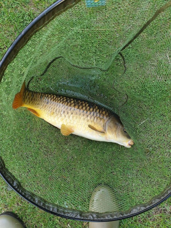Horseshoe Lake