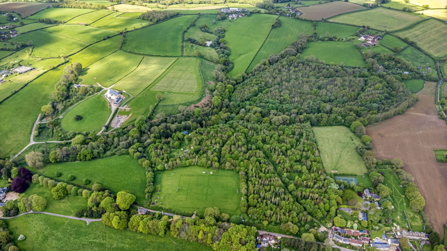 Howard's Wood