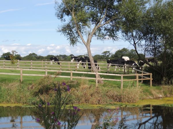 Humblescough Farm