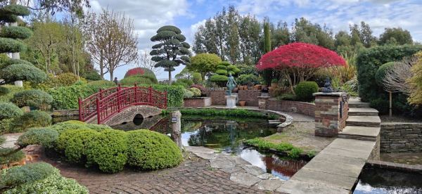 Ichi-Coo Park