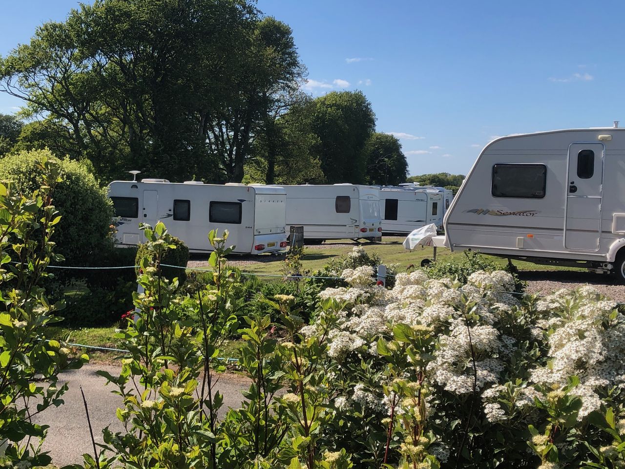 Island Lodge Caravan and Camping Site